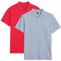 Men's polo shirt 4F (SET OF 2 SHIRT) 2P-SS-4FWSS25TPTSM407-92S