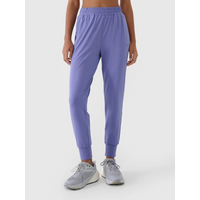 Women's quick-drying training pants 4F 4FRSS25TFTRF0789-32S