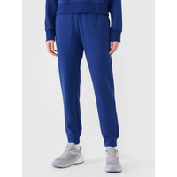 Women's jogger sweatpants 4F 4FWSS25TTROF0996-30S