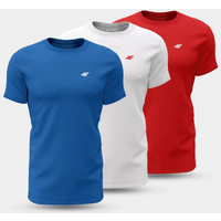 Men's T-shirt (SET OF 3 T-SHIRTS) 4F 4FWSS25TTSHM3097-90S