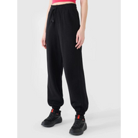 Women's jogger sweatpants 4F 4FWSS25TTROF0994-20S