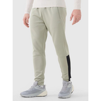 Men's quick-drying training pants 4F 4FWSS25TFTRM0836-44S