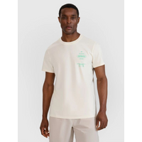Men's regular printed T-shirt 4F 4FRSS25TTSHM2688-11S