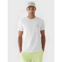 Men's regular printed T-shirt 4F 4FRAW24TTSHM2302-10S