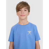Boy's regular printed T-shirt 4F 4FJRSS25TTSHM2642-33S