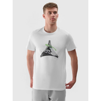 Men's regular printed T-shirt 4F 4FRAW24TTSHM2301-10S