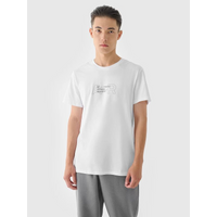 Men's regular printed T-shirt 4F 4FRAW24TTSHM2299-10S