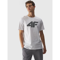 Men's regular printed T-shirt 4F 4FWMM00TTSHM1844-10S