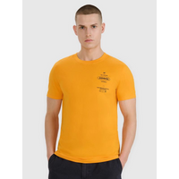 Men's regular printed T-shirt 4F 4FRSS25TTSHM2688-70S