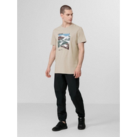 Men's trekking trousers 4F H4L22-SPMTR063