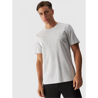 Men's regular printed T-shirt 4F 4FWMM00TTSHM1844-27M