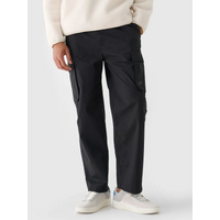 Men's casual cargo pants 4F 4FRAW24TTROM1167-20S