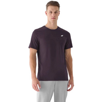 Men's cotton T-shirt 4F 4FWSS25TTSHM3096-50S