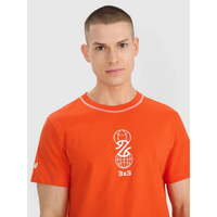 Men's regular printed T-shirt 4F 4FRSS25TTSHM3092-70S