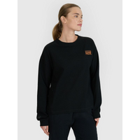 Women's oversize longsleeve with print 4F 4FWSS25TLONF393-20S