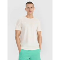Men's t-shirt with print 4F 4FRSS25TTSHM2687-11S