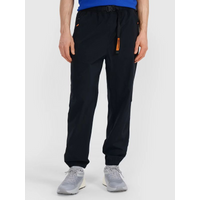 Men's casual trousers 4F 4FWSS25TTROM1001-20S