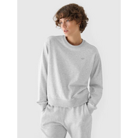 Women's sweatshirt without zipper and hood 4F 4FWMM00TSWSF1765-27M