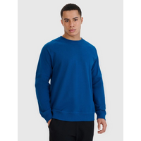 Men's sweatshirt without zipper and hood 4F 4FRSS25TSWSM2179-46S