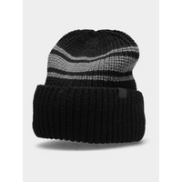 Men's winter hat 4F H4Z22-CAM008