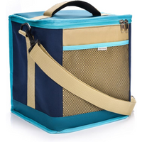 Meteor Frigid Thermal Bag 18L Blue/Gray