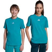 adidas Essentials Tee 160 Green Kids T-Shirt JW0005