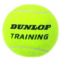 Dunlop Training Ball