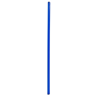 GYMNASTIC STICK NO10 160cm SPR-25160 B
