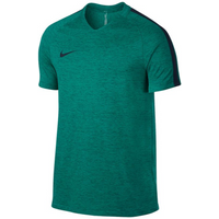 Nike Flex Strike Dry Top SS 806702 351