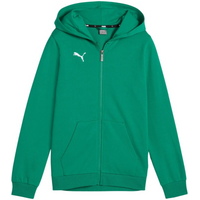 Puma teamGoal Casuals Hooded Kids' Sweatshirt Green 658596 05