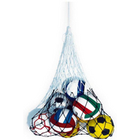 10-ball net
