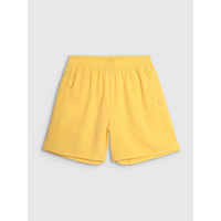 Women's beach shorts 4F 4FWSS25UBDSF149-71S