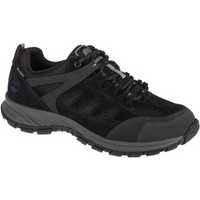 Timberland Sadler Pass GTX M A1PG2 shoes