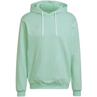 Adidas Entrada 22 M HC5081 sweatshirt