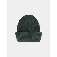 Men's winter hat 4F 4FAW23ACAPM310-43S