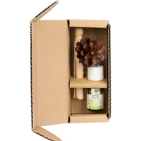Pani Szyszka HORIZONTAL SINUSITIS Set 1 x Pani Szyszka + 1 blend of essential oils (LP-HORIZONTAL-SINUSITIS)