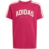 adidas Codes Collegiate Graphic Tee for kids pink KA9764