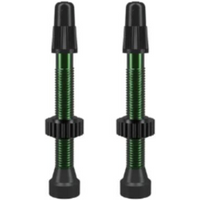 WTB FV TCS Valve 46mm Green