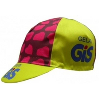APIS Profi Cap GIS GIALATI 2