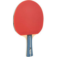 JOOLA TEAM PREMIUM TABLE TENNIS RACKET