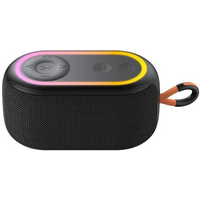 Havit SK809BT Wireless Bluetooth Speaker (Black)