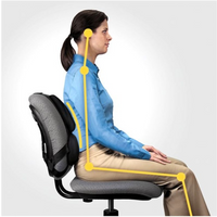 Fellowes Ergonomics Professional Back Support Cushion