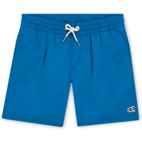 O'Neill Vert 14" Swim Shorts Jr 92800614215