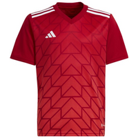 adidas Team Icon 23 Jr HR2652 T-shirt