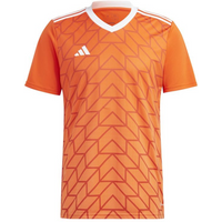 Adidas Team Icon 23 Jr T-shirt IC1251