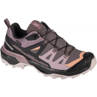 Salomon X Ultra 360 GTX W shoes 474494