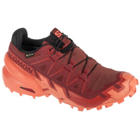 Salomon Speedcross 6 GTX W 475843 Running Shoes