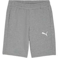 Puma teamGOAL Casuals M shorts 658608 33