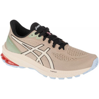 Asics GT-1000 12 TR W running shoes 1012B575-250