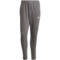 Adidas Tiro 21 Sweat M GP8802 pants